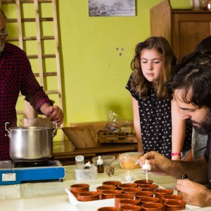 Basque Shepherd For a Day Experience