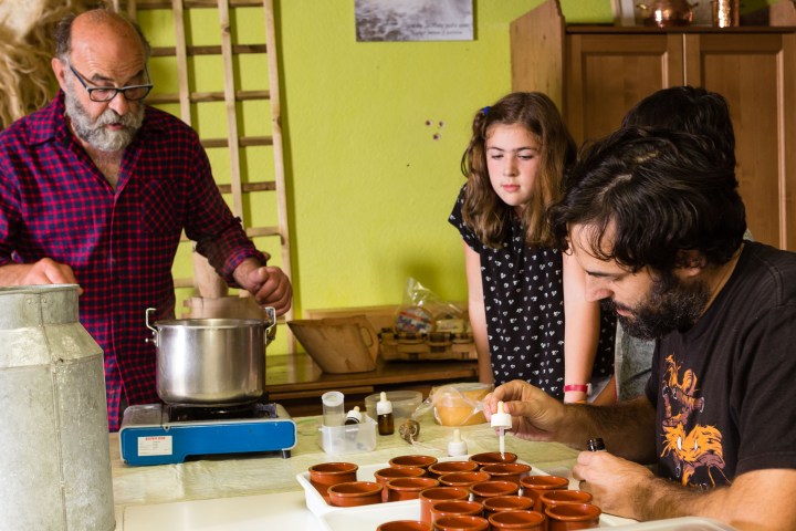 Basque Shepherd For a Day Experience