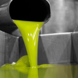 Jaén Olive Oil Guided Tour Experience