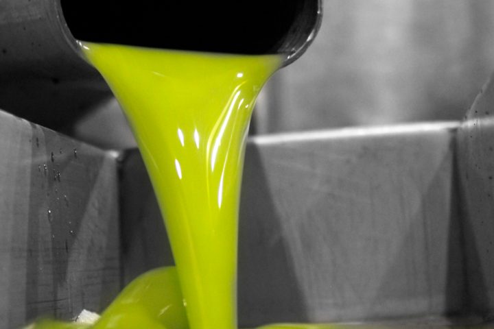 Jaén Olive Oil Guided Tour Experience