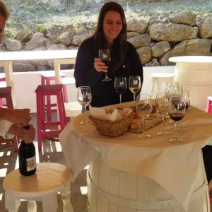 Malaga Organic Wine Tour Experience