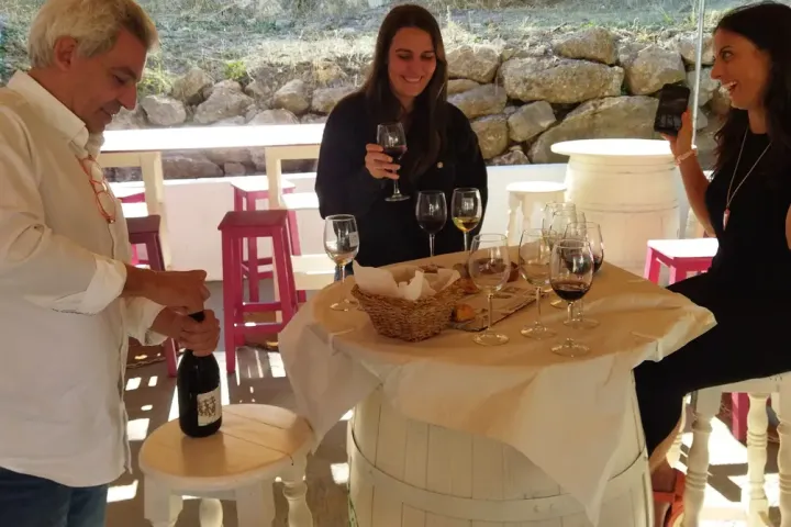 Malaga Organic Wine Tour Experience