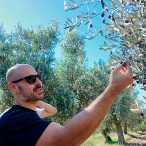 Aragon Olive Oil Visit & Tasting Experience