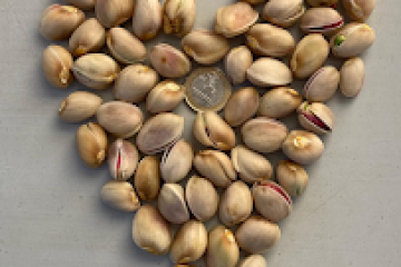 Pistachio & Sheep Tour