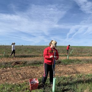 Pistachio & Sheep Tour