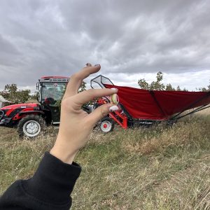 Pistachio & Sheep Tour