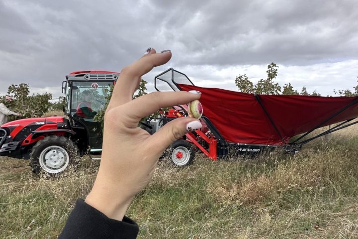 Pistachio & Sheep Tour