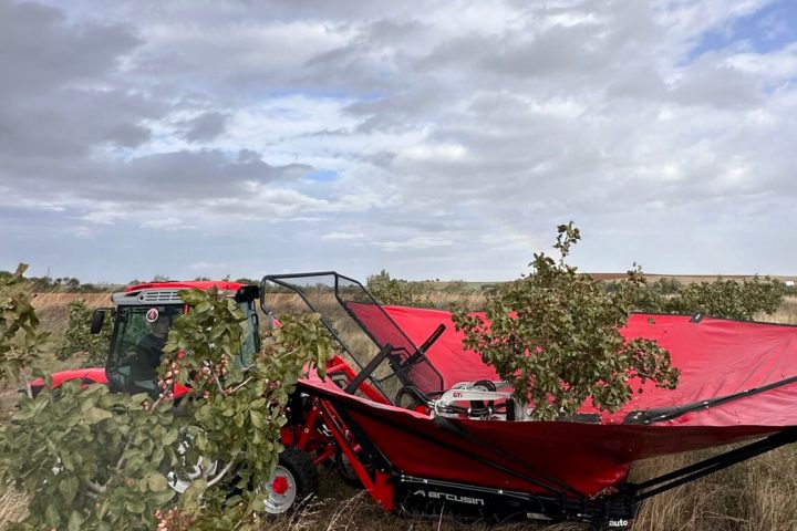 Pistachio & Sheep Tour