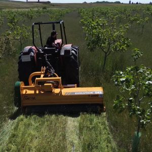 Pistachio & Sheep Tour