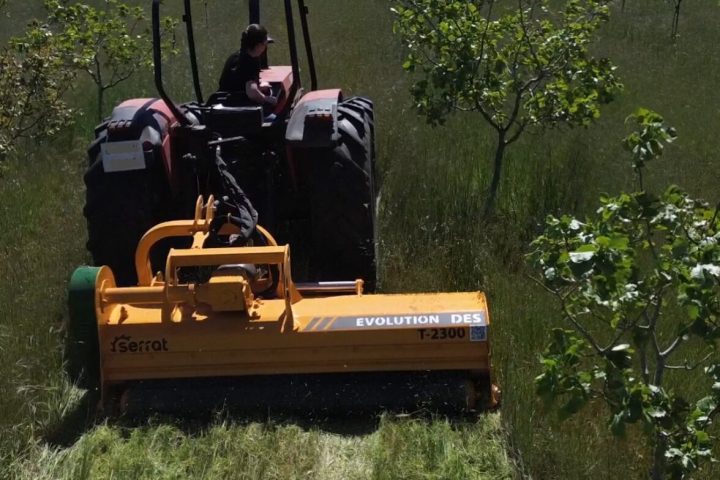 Pistachio & Sheep Tour