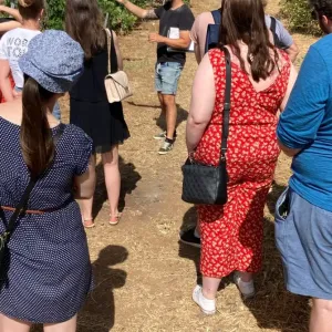 Malaga Organic Wine Tour Experience