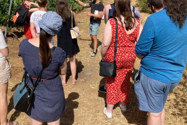 Malaga Organic Wine Tour Experience