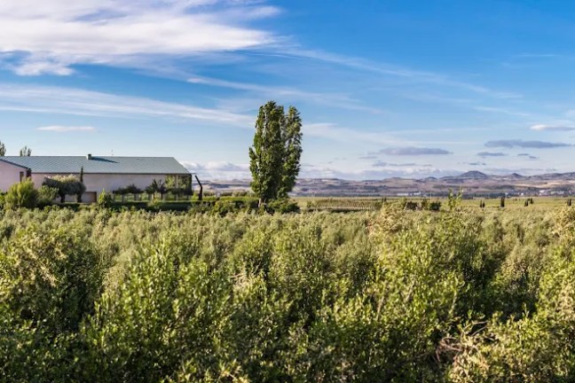 Navarra Guided Tour & Olive Oil Tasting Experience