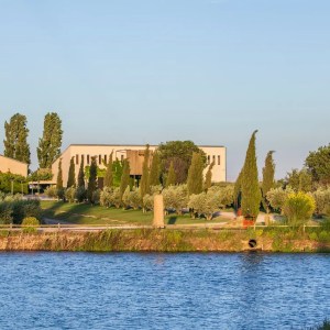 Navarra Guided Tour & Olive Oil Tasting Experience