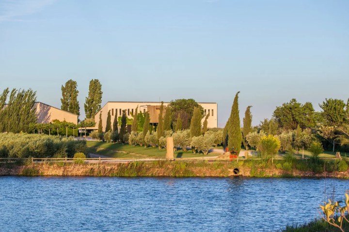 Navarra Guided Tour & Olive Oil Tasting Experience