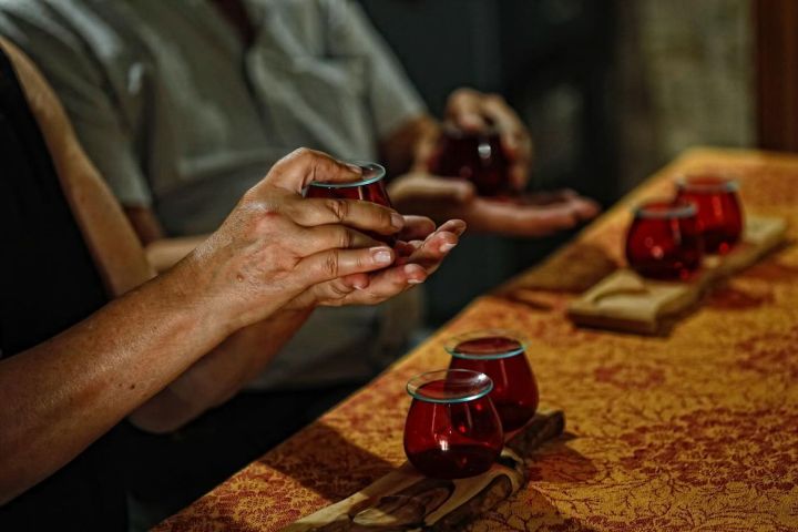 Aragon Matarranya Olive Oil Tasting Experience