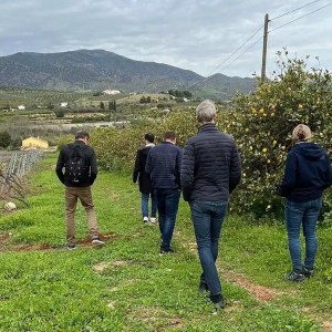 Malaga Organic Wine Tour Experience