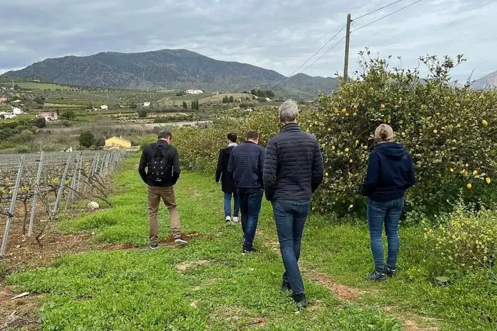 Malaga Organic Wine Tour Experience