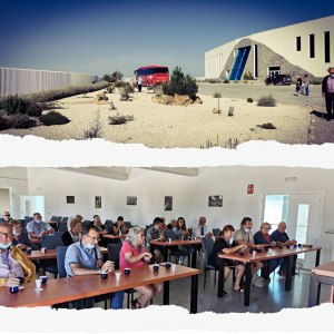 Jaén Olive Oil Guided Tour Experience