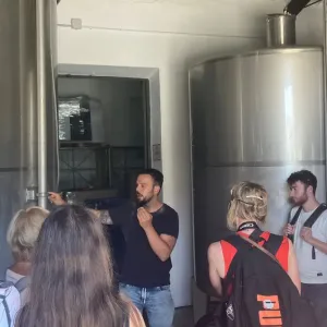 Malaga Organic Wine Tour Experience