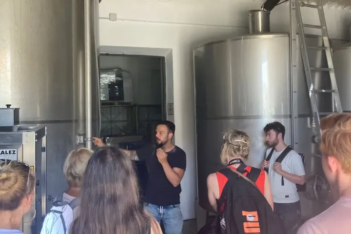 Malaga Organic Wine Tour Experience