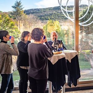 Aragon Olive Oil Tasting Experience