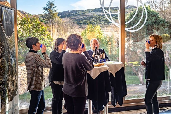 Aragon Olive Oil Tasting Experience