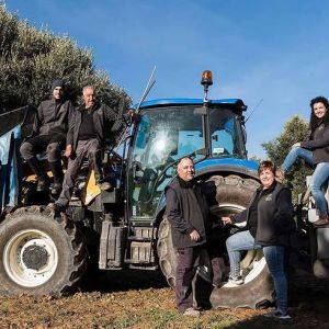 Aragon Matarranya Olive Oil Tasting Experience