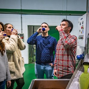 Aragon Olive Oil Tasting Experience
