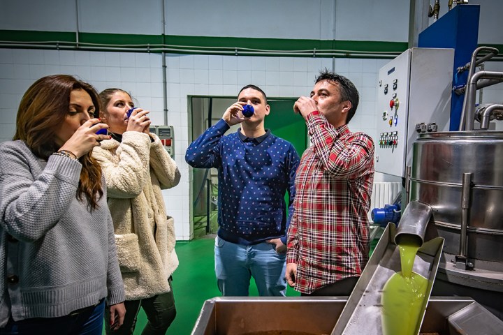 Aragon Olive Oil Tasting Experience