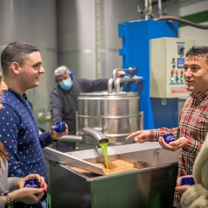 Aragon Olive Oil Tasting Experience