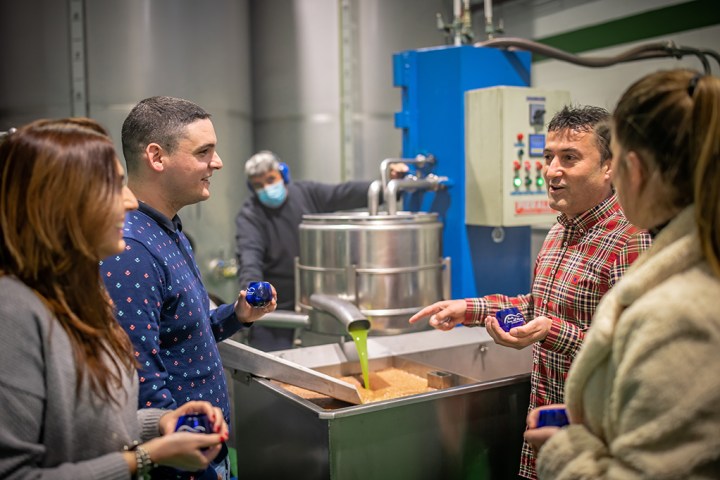 Aragon Olive Oil Tasting Experience