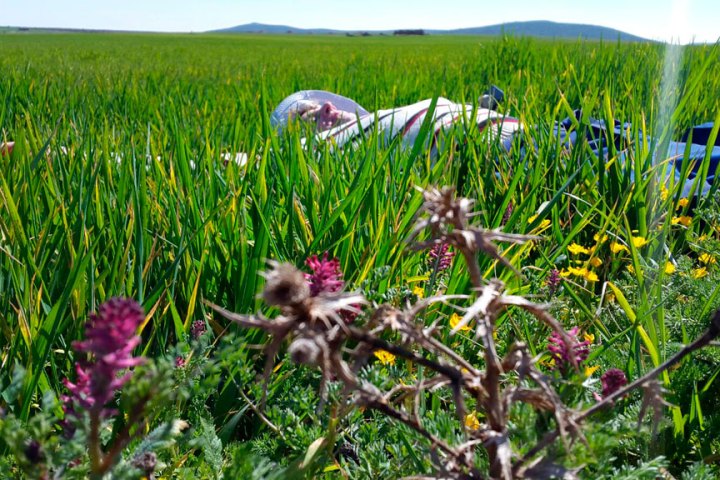 Ciudad Real Olive Oil Tour & Tasting Experience
