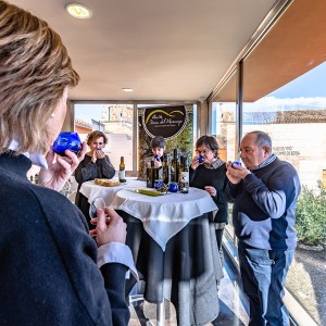 Aragon Olive Oil Tasting Experience
