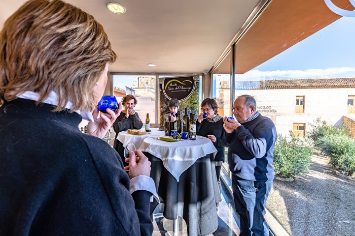 Aragon Olive Oil Tasting Experience