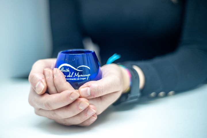 Aragon Monastery & Olive Oil Experience