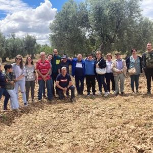 Aragon Matarranya Olive Oil Tasting Experience