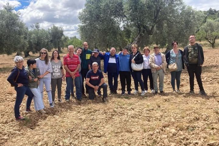 Aragon Matarranya Olive Oil Tasting Experience