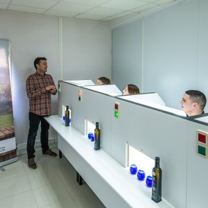 Aragon Monastery & Olive Oil Experience