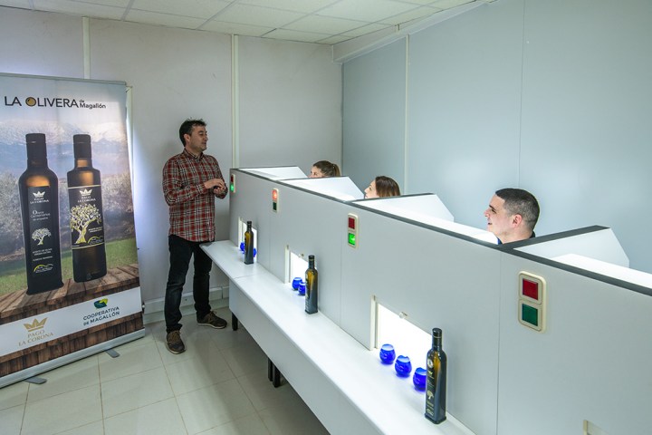 Aragon Monastery & Olive Oil Experience