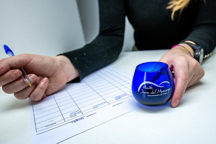 Aragon Monastery & Olive Oil Experience