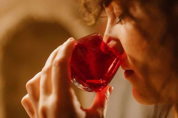 Aragon Matarranya Olive Oil Tasting Experience