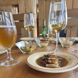 Menorca Mushroom Experience