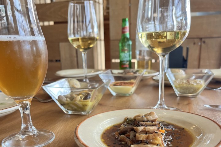 Menorca Mushroom Experience