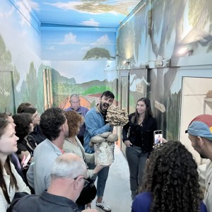 Menorca Mushroom Experience