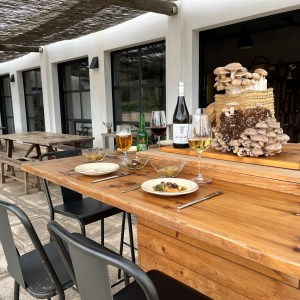 Menorca Mushroom Experience