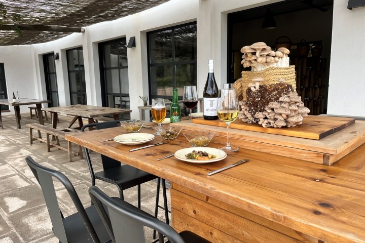 Menorca Mushroom Experience