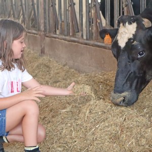 Menorca Farm Tour with Equestrian Experience