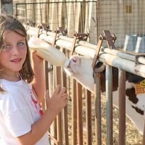 Menorca Farm Tour with Equestrian Experience