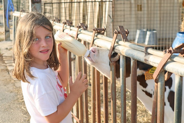 Menorca Farm Tour with Equestrian Experience